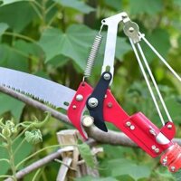 Đầu kéo , cưa cắt cành trên cao lưỡi thép sắc bén