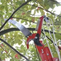 Đầu Kéo kèm lưỡi cưa Cắt cành Trên Cao, Tỉa Cây Cảnh, Hái Hoa Quả - NNTM