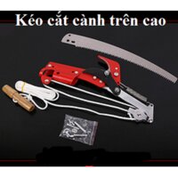 Đầu kéo tỉa cành cắt cành trên caohái quả kết hợp cưa cành