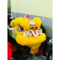 Đầu Lân Cừu Vàng Thường Dành Cho Người Lớn (FULL BỘ)