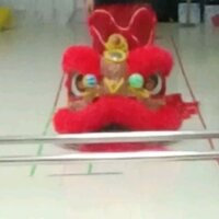 Đầu lân múa hội