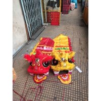 Đầu lân trẻ em  cho bé 10tuoi đến 14tuoi + đuôi