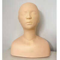 Đầu manocanh nửa người học massage cổ vai gáy