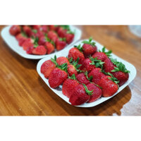 DÂU MỘC CHÂU size nhỡ 25-30 quả/1h,2 hộp 1 kg( kèm muối ô mai Bà Thu) SHIP HOẢ TỐC