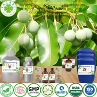 Dầu Mù U - Tamanu oil 100ml/ 500ml/ 1000ml