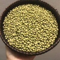 ĐẬU NÀNH VỎ XANH (ĐẬU TƯƠNG XANH) THUẦN CHỦNG [1KG]