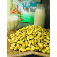ĐẬU NÀNH XANH (gói 1kg)🫘 🫘🫘
