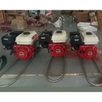 Đầu Nổ 6.5HP - Động Cơ Cốt Xéo Chạy Xăng Honda GX200 6.5HP nhập mới nguyên thùng