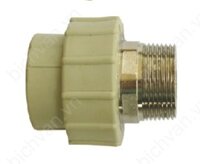 Đầu nối ren ngoài PPR 25-3/4