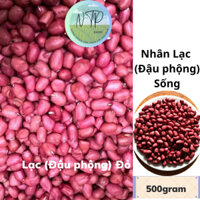 Đậu phộng/ Lạc đỏ, nhân đậu phộng (Lạc)sống