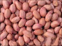 ĐẬU PHỘNG SỐNG 500G