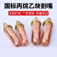Đầu phun cắt khí hóa lỏng axetylen propan tiêu chuẩn quốc gia G01-30-100-300, đầu phun cắt hoa mận loại hình tròn