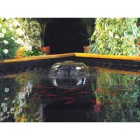 Đầu phun nước hình dù , tạo hình nấm, dù, xòe tán