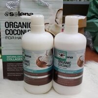 DẦU SỮA DỪA SELENA ORGANIC COCONUT🥥🥥🥥🥥🥥🥥