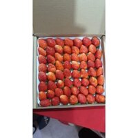 Dâu Tây Đà Lạt