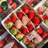 Dâu Tây Đỏ Kuemsil Mix Dâu Bạch Tuyết Premium Hàn Quốc | Joy Farm - Khay 250g
