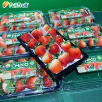 Dâu tây Mộc Châu