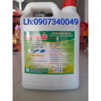 DẦU TRÂM BẦU 5lit/can
