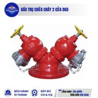 Đầu trụ chữa cháy 2 cửa D65