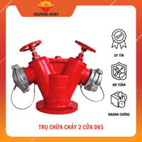 Đầu trụ chữa cháy 2 cửa kèm van loại D65