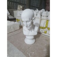 Đầu tượng thạch cao luyện thi trúc khối V MS24