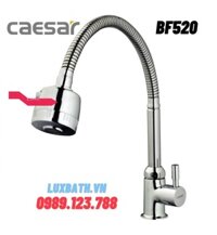 Đầu vòi bếp Caesar BF520