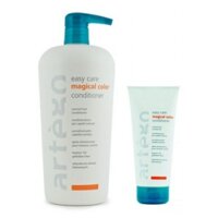 DẦU XẢ GIỮ MÀU TÓC NHUỘM ARTEGO 1000ML