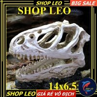 ĐẦU XƯƠNG KHỦNG LONG BẠO CHÚA SIZE TO - ĐẦU XƯƠNG KHỦNG LONG HANG THỦY SINH