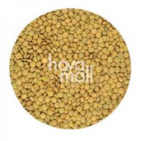 Đậu/Hạt Giá Sỉ Tốt Nhất Hiện Nay – Đậu Lăng Xanh Havafoodies 1KG – Green Lentils