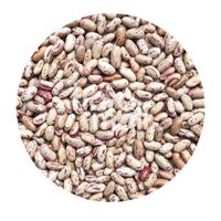 Đậu/Hạt Giá Sỉ Tốt Nhất Hiện Nay – Đậu Cúc Havafoodies 1kg – Pinto Beans