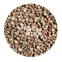 Đậu/Hạt Giá Sỉ Tốt Nhất Hiện Nay – Đậu Tằm Havafoodies 1kg