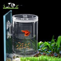 Daweif Hộp cách ly giống cá nổi trong suốt Phụ kiện ấp trứng cho cá hề Betta