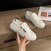 Daxingzhe Giày Trắng Giày Nữ Lưới Thoáng Khí Vải Thể Thao Giày Vải Thông Thường Giày Lưới Sinh Viên