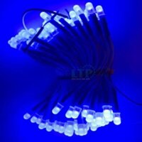 [Dây 100c] Led Ruồi Liền Dây 12V SenYang Taiwan Dây Đồng -100 Con/Dây