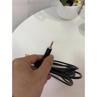 Dây 3.5 ra 2 đầu AV dài 3m