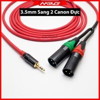 Dây 3.5 Ra 2 Đầu Canon Đực, dài 5met-3met-2met-1met.