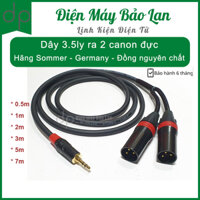 Dây 3.5ly Ra 2 Canon Đực - Dây truyền tải tín hiệu - Hãng Sommer Germany, Đồng Nguyên Chất, BH 6 Tháng