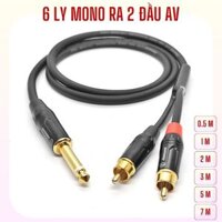 Dây 6 ly mono ra 2 đầu av