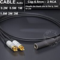 Dây 6 ly ra 2 AV DIY 0.2 đến 3 mét - 6.5mm mono female to 2 RCA cable