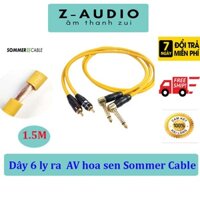 Dây 6 ly ra AV hoa sen Somer Cable 1 đầu jack 6 ly cong hiệu Palic với Jack AV Nakamichi Nhật cao cấp - Zaudio Store