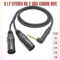 Dây 6 ly stereo ra 2 đầu canon đực