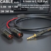 Dây 6 ly TRS sang 2 canon đực DIY 0.5 đến 10 mét - 6.35mm stereo to XLR male audio cable