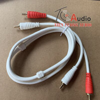 Dây AV 2 đầu hoa sen | Chống nhiễu tín hiệu