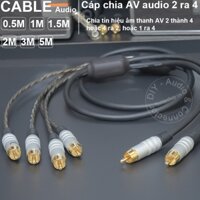 Dây AV 2 ra 4 0.5 đến 5 mét - DIY RCA 2 to 4 analog audio splitter cable