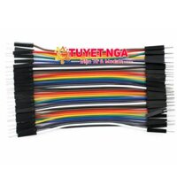 Dây Bẹ Cắm Test Board Đực Đực 10cm