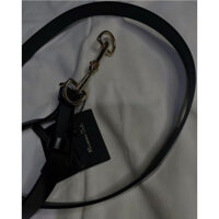 Dây Belt Massimo Dutti