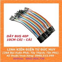DÂY CẮM TESTBOARD 2 ĐẦU CÁI - CÁI, 10CM, 40 SỢI