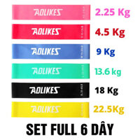 Dây cao su kháng lực tập mông miniband hỗ trợ tập mông - Độ mông trái đào - Bộ 6 dây full