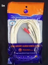 DÂY CÁP 3.5 RA AV 5M