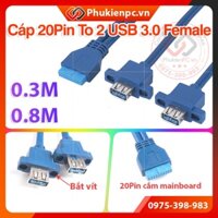 Dây cáp chuyển đổi USB 3.0 20pin sang 2 USB 3.0 chân CÁI, bắt vít dài 30cm, 80cm cho máy tính PC, máy tính công nghiệp